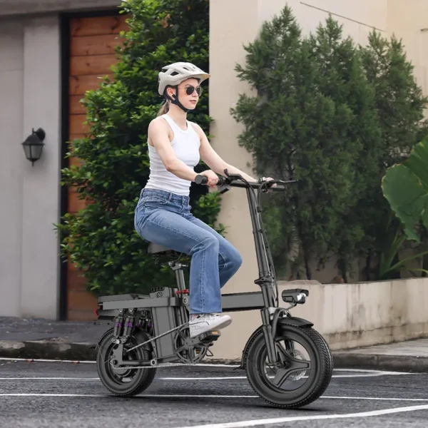 Electric E Fatbike V8