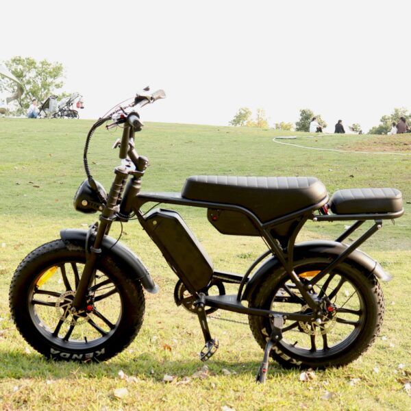 Fat tire C80