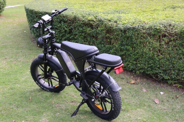 Fat tire C80 - Image 3